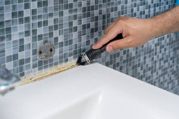 Best Toxic Mold Removal  in Rock Creek, MN