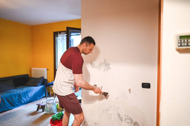 Best Local Mold Removal Service  in Rock Creek, MN